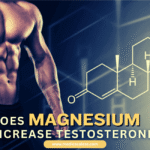 Magnesium Increase Testosterone