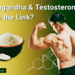 Ashwagandha and Testosterone